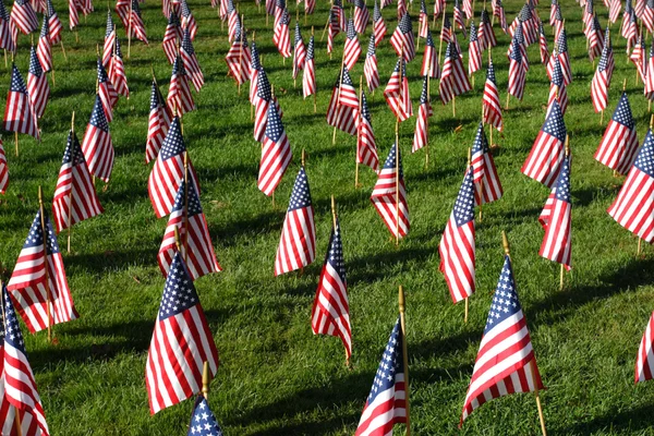 Campo de banderas americanas — Foto de Stock