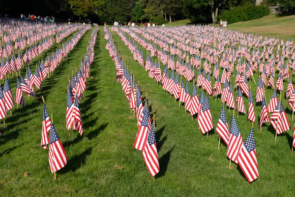 Campo de banderas americanas — Foto de Stock