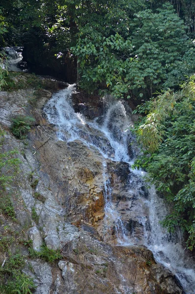 Waterval in een Maleise tropische jungle — Stockfoto