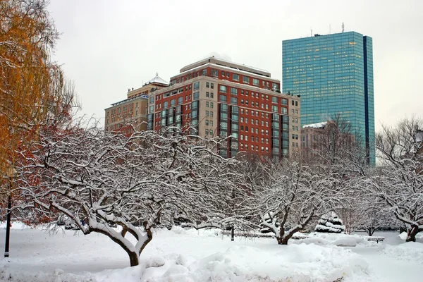 Stock imagen de un invierno nevando en Boston, Massachusetts, EE.UU. — Foto de Stock