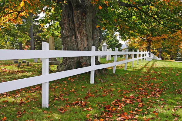 Follaje otoñal en Vermont, EE.UU. —  Fotos de Stock