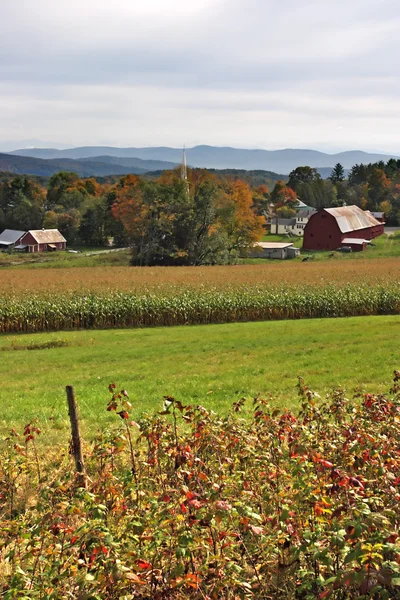 Hösten bladverk på Vermont, Usa — Stockfoto