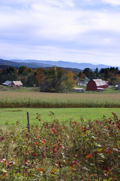 Восени листя, штат Вермонт, США — стокове фото