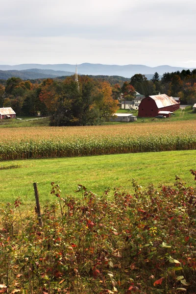 Fall gebladerte in Vermont, Usa — Stockfoto