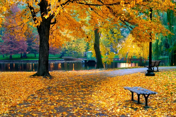 Autunno a Boston Giardino Pubblico — Foto Stock