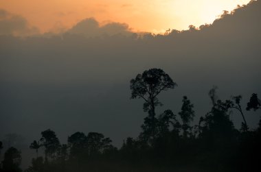 Sisli manzara stok görüntü