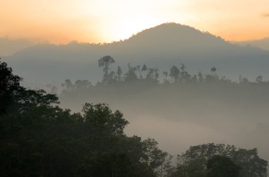 Sisli manzara stok görüntü