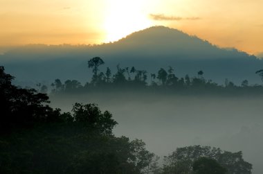 Sisli manzara stok görüntü