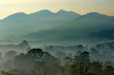 Sisli manzara stok görüntü