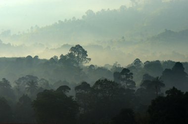 Sisli manzara stok görüntü