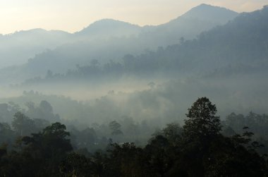 Sisli manzara stok görüntü