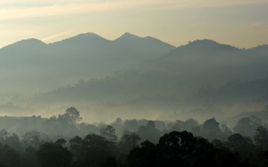Sisli manzara stok görüntü