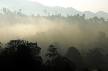 Sisli manzara stok görüntü