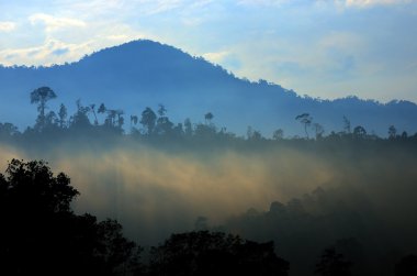 Sisli manzara stok görüntü