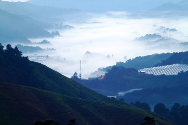 Cameron Highland, Malezya