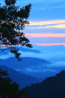 Cameron Highland, Malezya