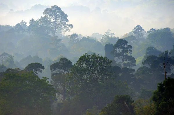 Imagen de stock de paisaje brumoso — Foto de Stock