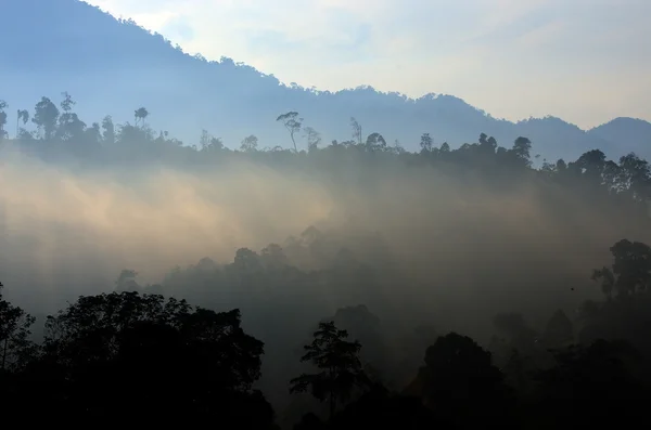 Imagem de stock de paisagem nebulosa — Fotografia de Stock