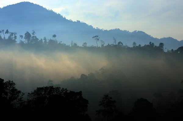 Imagem de stock de paisagem nebulosa — Fotografia de Stock