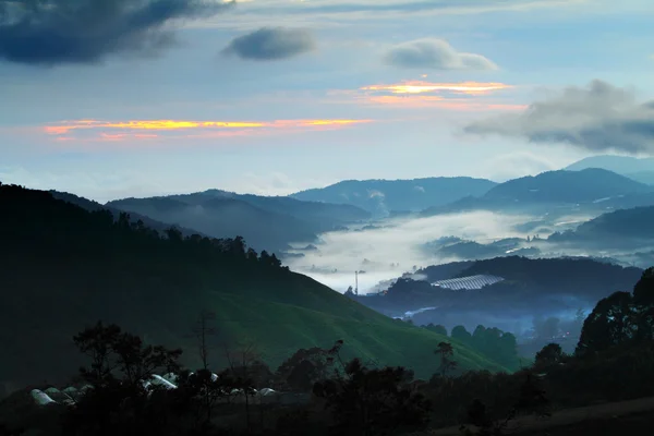 Cameron Highland, Malezja — Zdjęcie stockowe