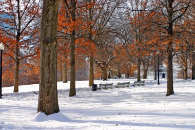 Boston, Massachusetts, ABD 'de kar yağışının stok görüntüsü