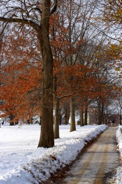 Boston, Massachusetts, ABD 'de kar yağışının stok görüntüsü