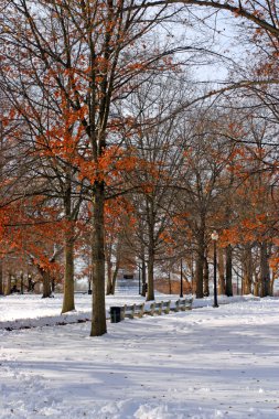 Boston, Massachusetts, ABD 'de kar yağışının stok görüntüsü