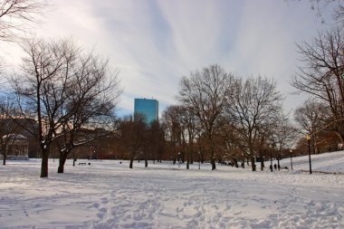 Boston, Massachusetts, ABD 'de kar yağışının stok görüntüsü