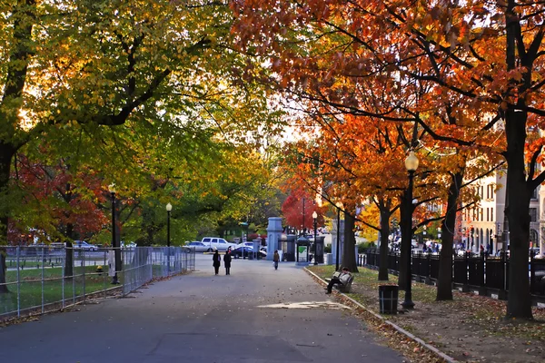 Бостонский общественный сад — стоковое фото