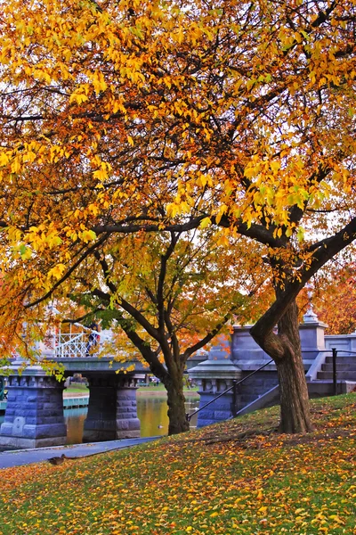 Jardin public de Boston — Photo