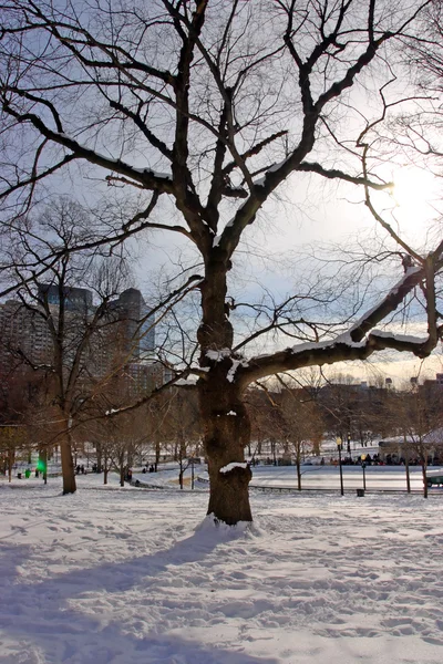 Stock imagen de un invierno nevando en Boston, Massachusetts, EE.UU. —  Fotos de Stock