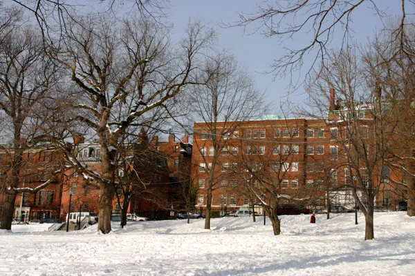 Stock bild av en snöande vinter vid Boston, massachusetts, usa — Stockfoto