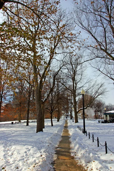 Boston, Massachusetts, ABD 'de kar yağışının stok görüntüsü