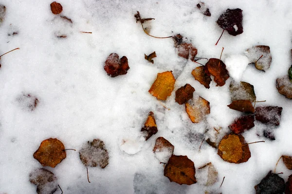 Imagem de estoque de um inverno nevando em Boston, Massachusetts, EUA — Fotografia de Stock