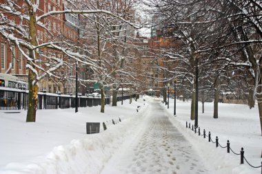 Boston, Massachusetts, ABD 'de kar yağışının stok görüntüsü