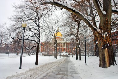 Boston, Massachusetts, ABD 'de kar yağışının stok görüntüsü