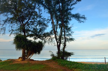 Mai khao beach, Phuket, Thailan, mavi gökyüzü ile güzel bir plaj