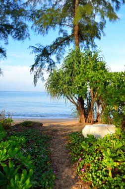 Mai khao beach, Phuket, Thailan, mavi gökyüzü ile güzel bir plaj