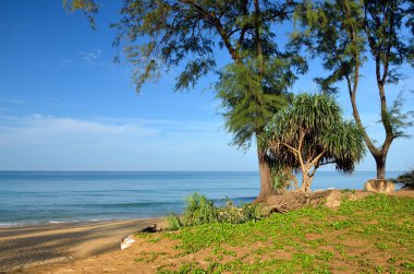 Mai khao beach, Phuket, Thailan, mavi gökyüzü ile güzel bir plaj