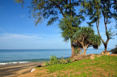 Mai khao beach, Phuket, Thailan, mavi gökyüzü ile güzel bir plaj