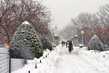 Boston, Massachusetts, ABD 'de kar yağışının stok görüntüsü