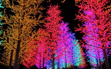 Renkli Led ağaçlar decoratio satırları