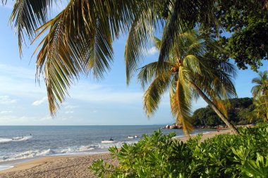 Sandy beach Batu Ferringhi, Penang Adası, Malaysi