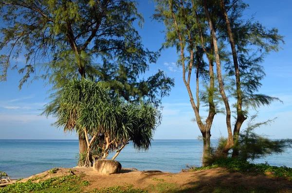 Praia bonita com céu azul na praia de Mai Khao, Phuket, Thailan — Fotografia de Stock