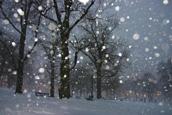 Imagen de un invierno nevando en Boston, Massachusetts, EE.UU. — Foto de Stock