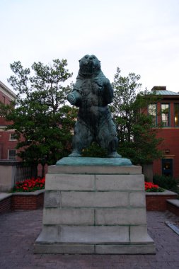 Brown Üniversitesi Ivy League kolej kampüsü Providence, Rhode Island'da bulunan