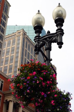 Boston Halk Kütüphanesi, Boston