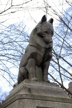 Bina ve Boston şehir merkezinde manzarası