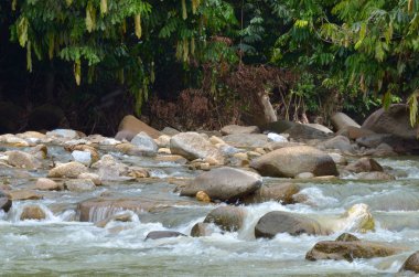 Janda Baik nehir, Malezya