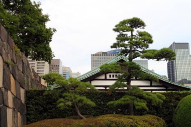 Imperial palace, tokyo, Japonya
